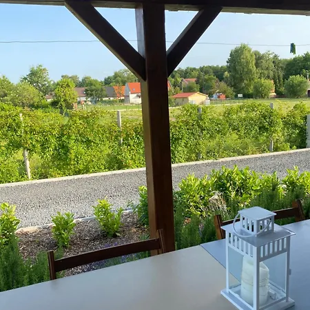 Izabella Vendeghaz 公寓 Balatonrendes