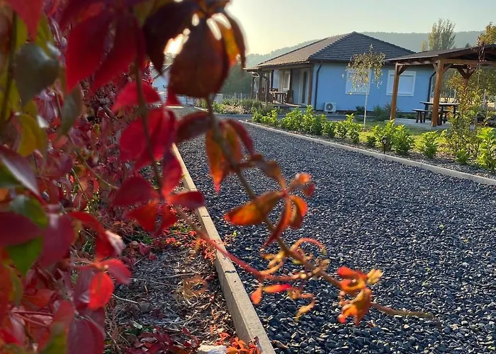 Izabella Vendeghaz *