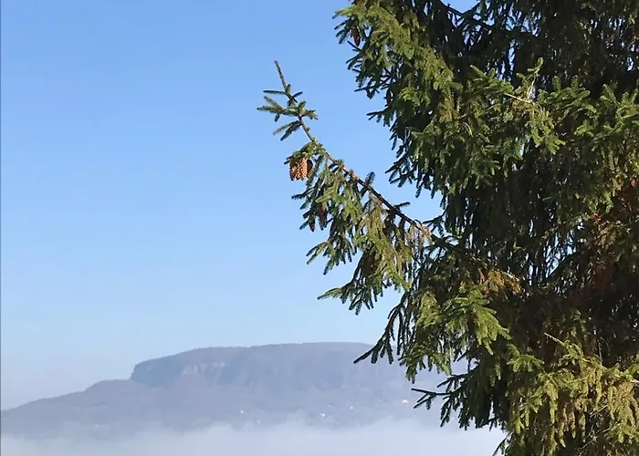 Izabella Vendeghaz 公寓