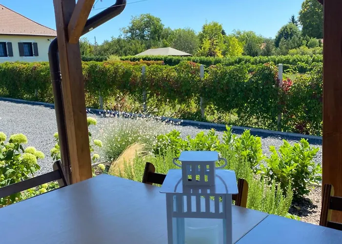 公寓 Izabella Vendeghaz *